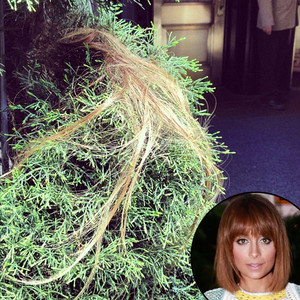Nicole Richie Nicole Richie